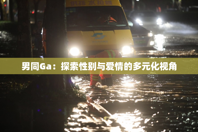 男同Ga：探索性别与爱情的多元化视角