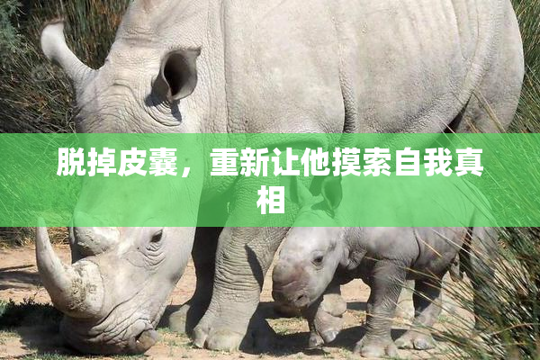 脱掉皮囊，重新让他摸索自我真相