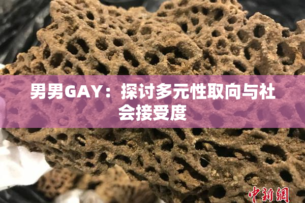 男男GAY：探讨多元性取向与社会接受度