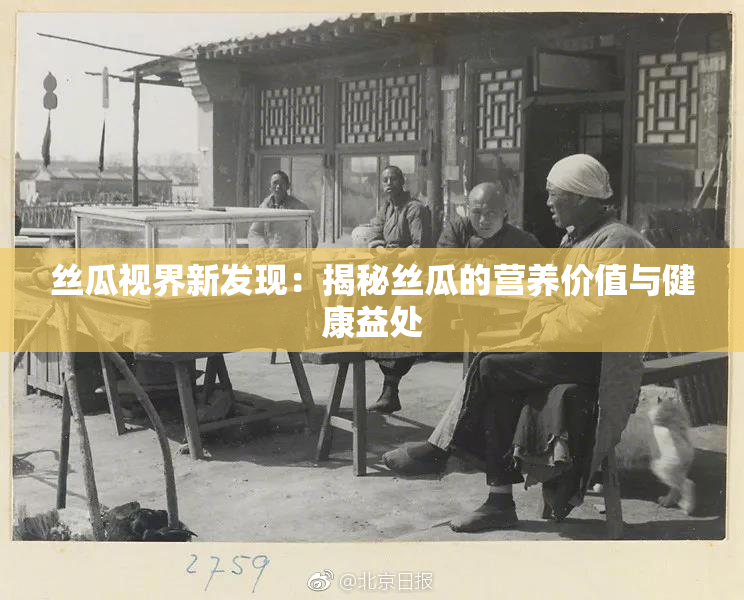 丝瓜视界新发现：揭秘丝瓜的营养价值与健康益处