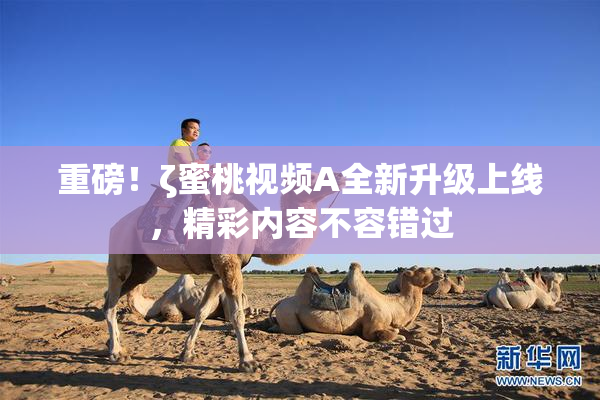 重磅！ζ蜜桃视频A全新升级上线，精彩内容不容错过