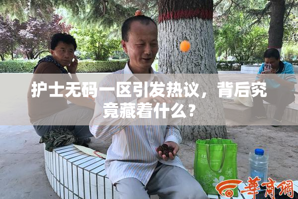 护士无码一区引发热议，背后究竟藏着什么？