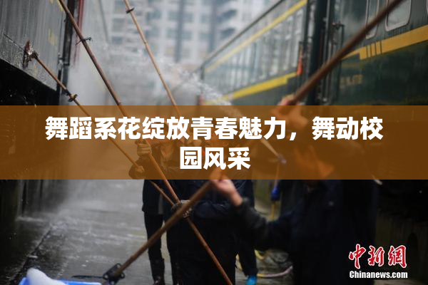 舞蹈系花绽放青春魅力，舞动校园风采