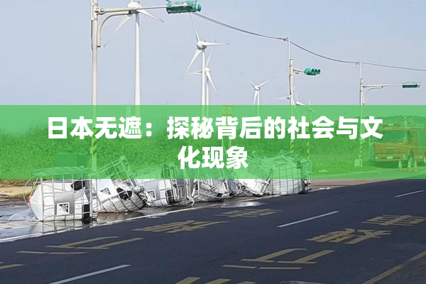 日本无遮：探秘背后的社会与文化现象