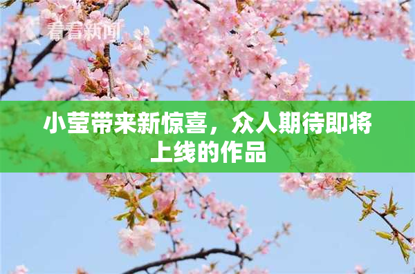 小莹带来新惊喜，众人期待即将上线的作品