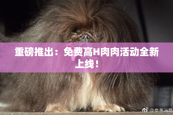 重磅推出：免费高H肉肉活动全新上线！