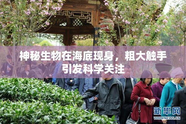 神秘生物在海底现身，粗大触手引发科学关注