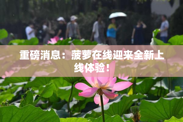 重磅消息：菠萝在线迎来全新上线体验！