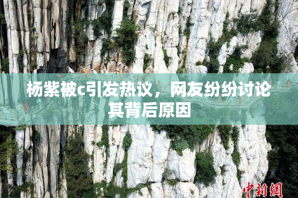 杨紫被c引发热议，网友纷纷讨论其背后原因