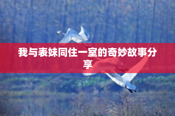 我与表妹同住一室的奇妙故事分享
