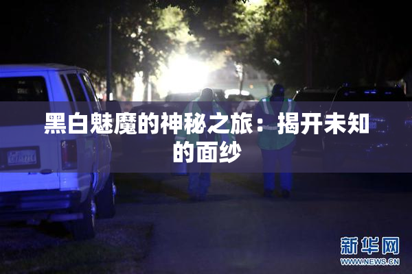 黑白魅魔的神秘之旅：揭开未知的面纱