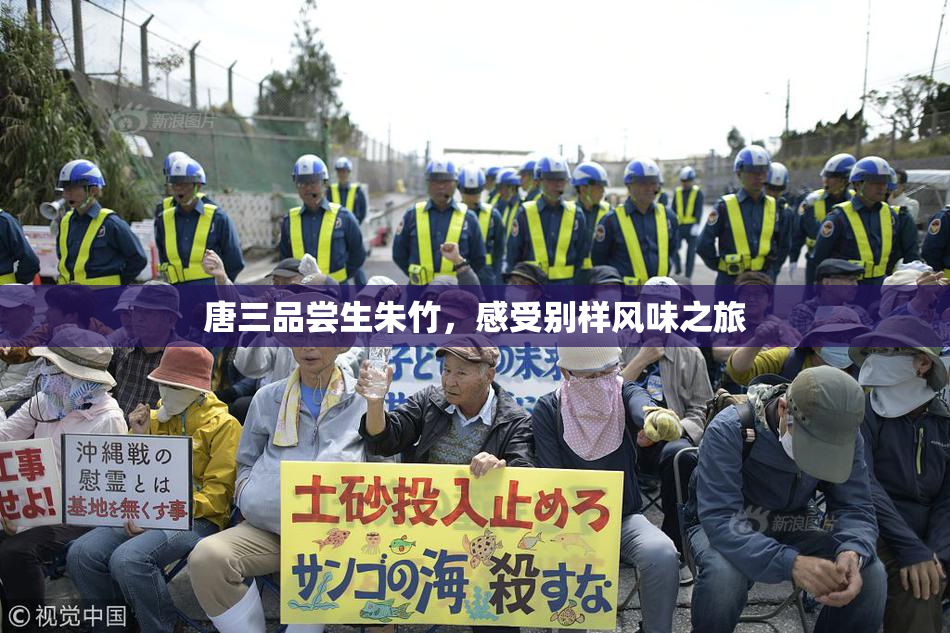 唐三品尝生朱竹，感受别样风味之旅