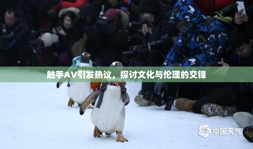 触手AV引发热议，探讨文化与伦理的交锋