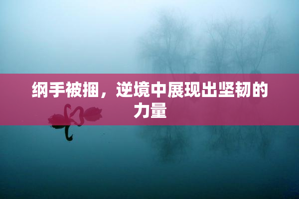 纲手被捆，逆境中展现出坚韧的力量