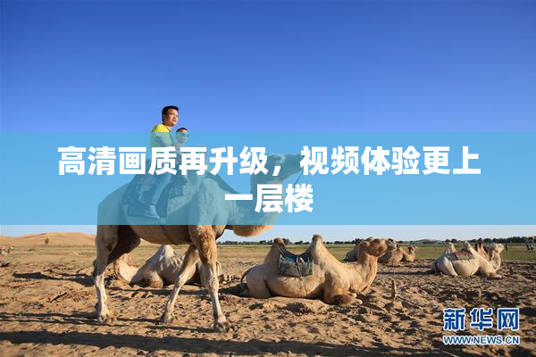 高清画质再升级，视频体验更上一层楼