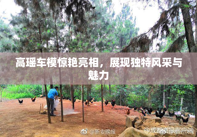 高瑶车模惊艳亮相，展现独特风采与魅力