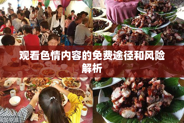 观看色情内容的免费途径和风险解析