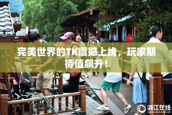 完美世界的TK震撼上线，玩家期待值飙升！