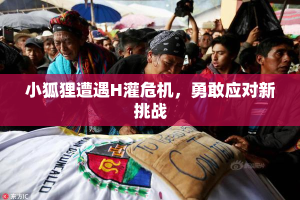 小狐狸遭遇H灌危机，勇敢应对新挑战