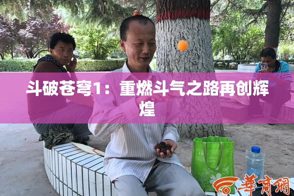 斗破苍穹1：重燃斗气之路再创辉煌