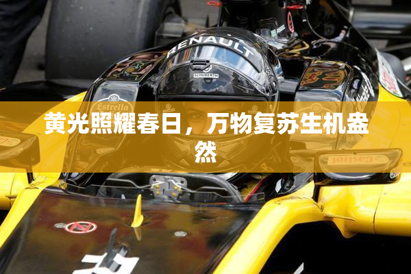 黄光照耀春日，万物复苏生机盎然