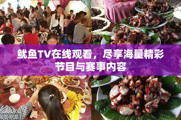 鱿鱼TV在线观看，尽享海量精彩节目与赛事内容
