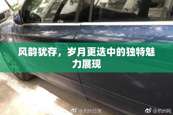 风韵犹存，岁月更迭中的独特魅力展现