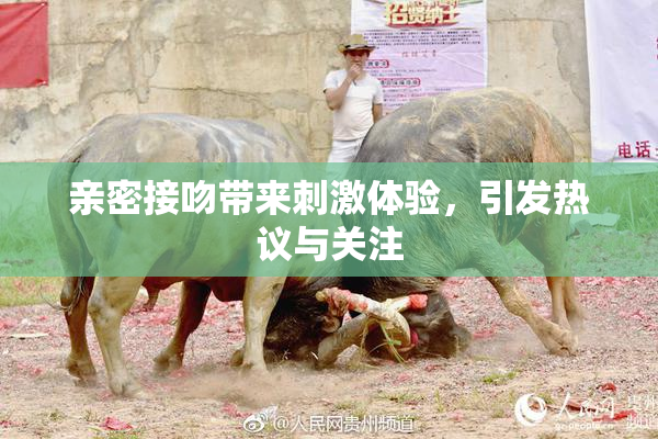 亲密接吻带来刺激体验，引发热议与关注