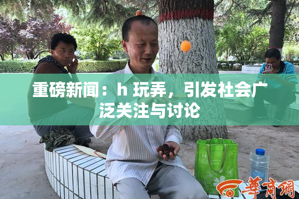 重磅新闻：h 玩弄，引发社会广泛关注与讨论