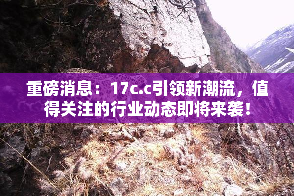 重磅消息：17c.c引领新潮流，值得关注的行业动态即将来袭！