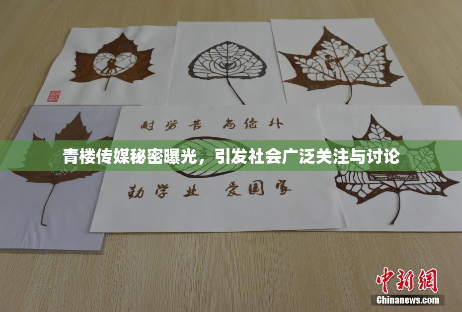青楼传媒秘密曝光，引发社会广泛关注与讨论