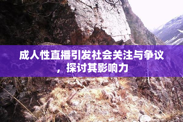 成人性直播引发社会关注与争议，探讨其影响力