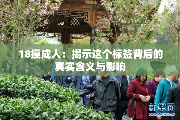 18摸成人：揭示这个标签背后的真实含义与影响