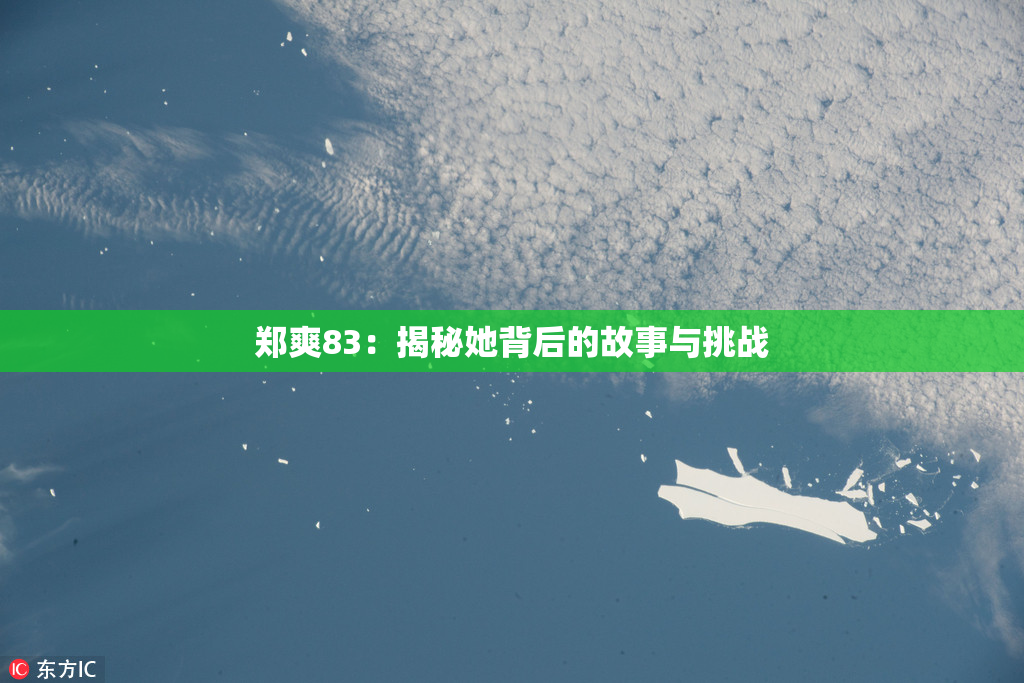 郑爽83：揭秘她背后的故事与挑战