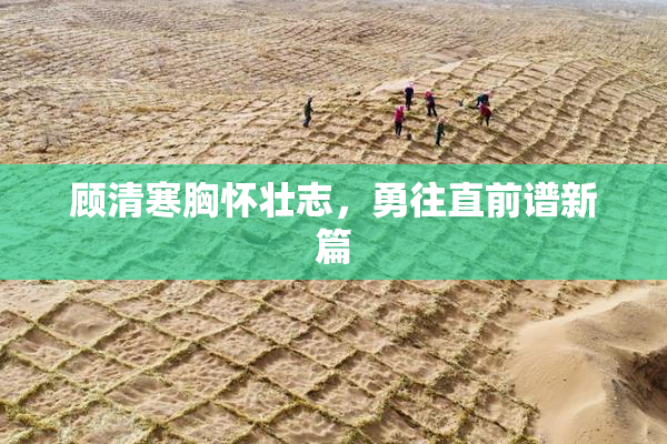 顾清寒胸怀壮志，勇往直前谱新篇