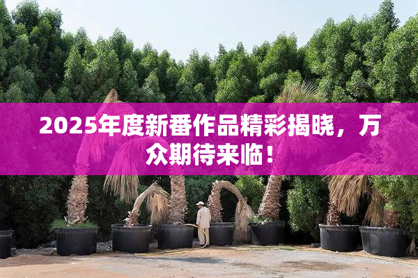 2025年度新番作品精彩揭晓，万众期待来临！