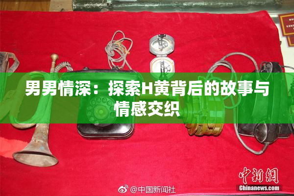 男男情深：探索H黄背后的故事与情感交织