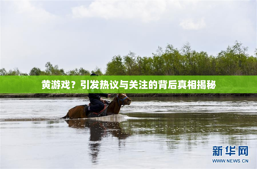 黄游戏？引发热议与关注的背后真相揭秘