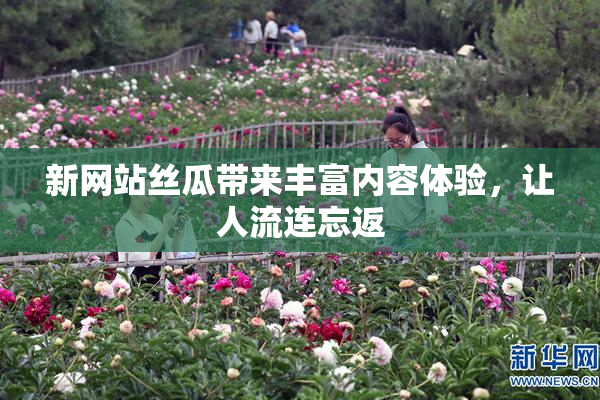 新网站丝瓜带来丰富内容体验，让人流连忘返