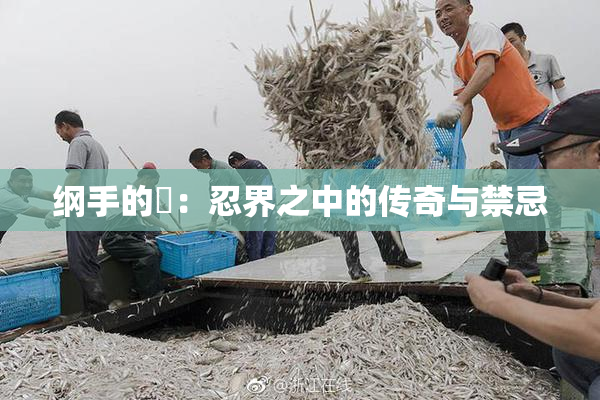 纲手的婬：忍界之中的传奇与禁忌