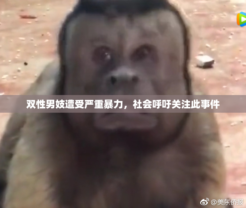 双性男妓遭受严重暴力，社会呼吁关注此事件