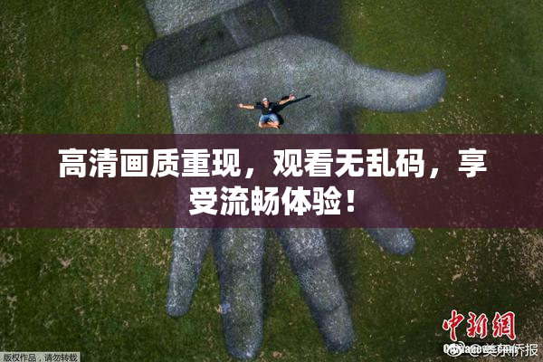 高清画质重现，观看无乱码，享受流畅体验！