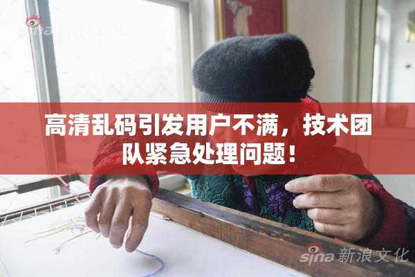 高清乱码引发用户不满，技术团队紧急处理问题！