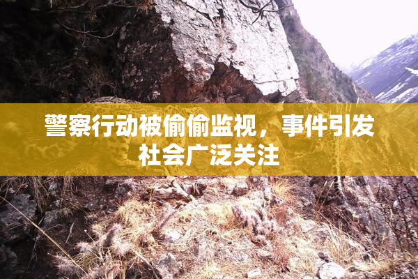 警察行动被偷偷监视，事件引发社会广泛关注