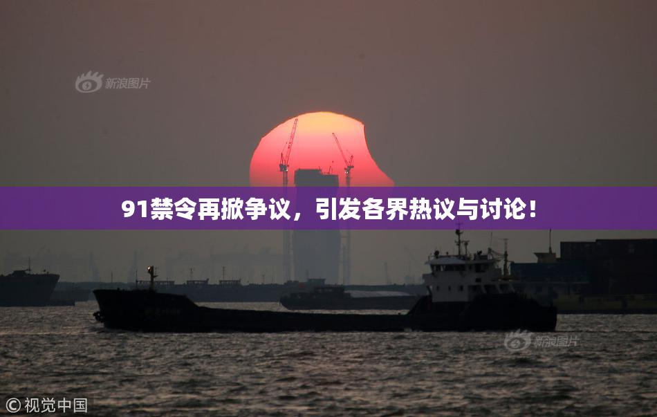 91禁令再掀争议，引发各界热议与讨论！