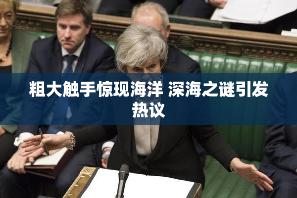 粗大触手惊现海洋 深海之谜引发热议