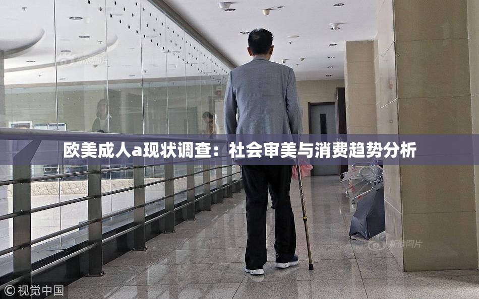 欧美成人a现状调查：社会审美与消费趋势分析