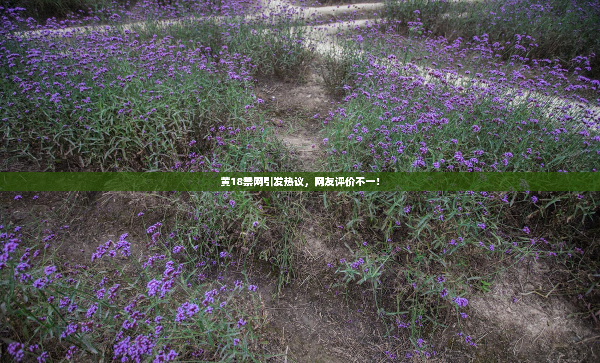 黄18禁网引发热议，网友评价不一！