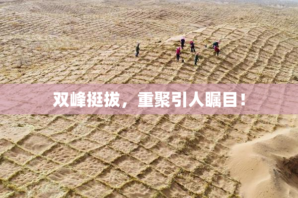 双峰挺拔，重聚引人瞩目！