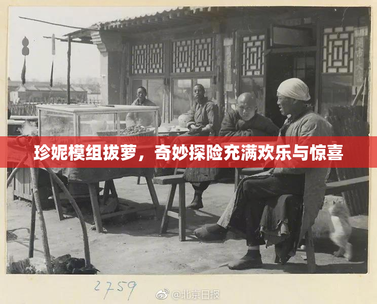 珍妮模组拔萝，奇妙探险充满欢乐与惊喜